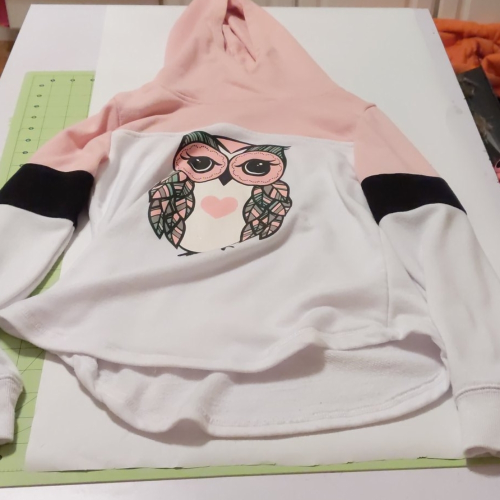 Little girls owl sweatshirt